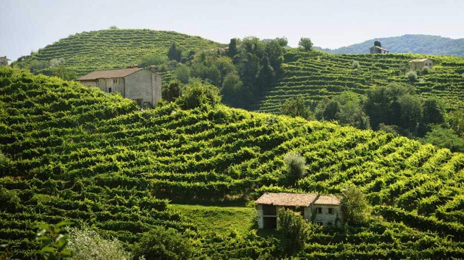 Mionetto und seine fast 130-jährige Geschichte