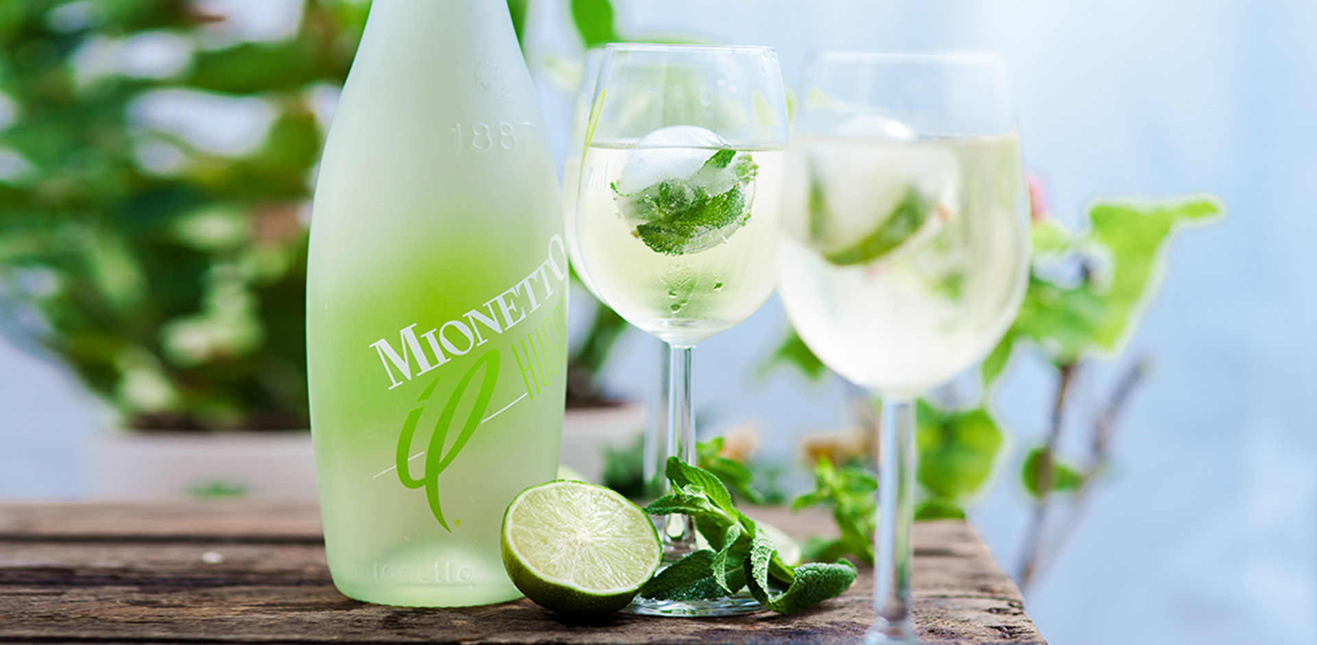 Cooler Mionetto il HUGO!